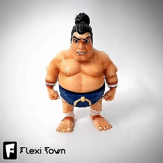 Flexi Print-in-Place Sumo Wrestlers-1