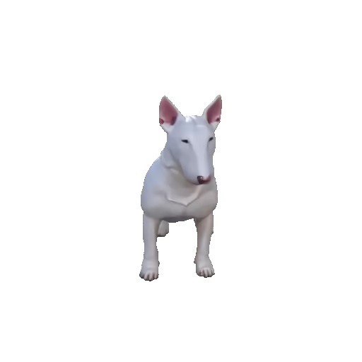 Bullterier-0