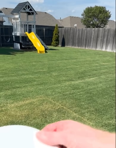 Frisbee