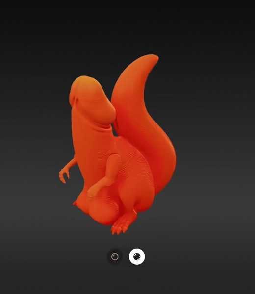 Squirrel penis face