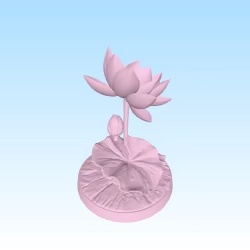 lotus flower