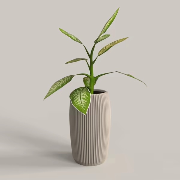 CURVED VASE, VASE COURBER-0