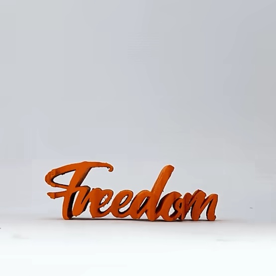 Text Flip - Freedom (Motorcycle)-0