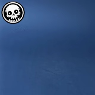 Flexi Skeleton Wolf-4
