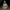 Chuck Norris – Ultra Realistic Bust