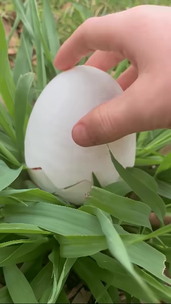 Surprise Easter basket-3