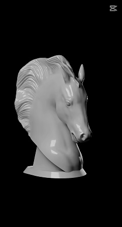 Horse Bust / Personal Use Only-0