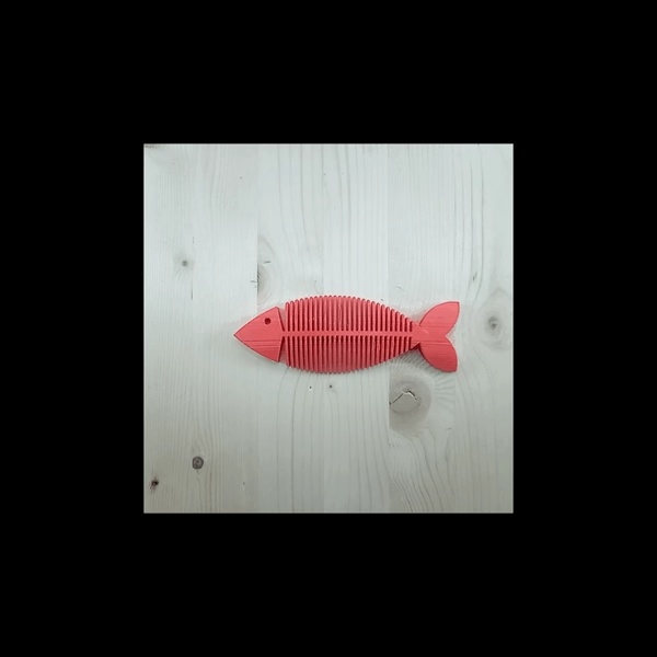 Fish Flexible-0