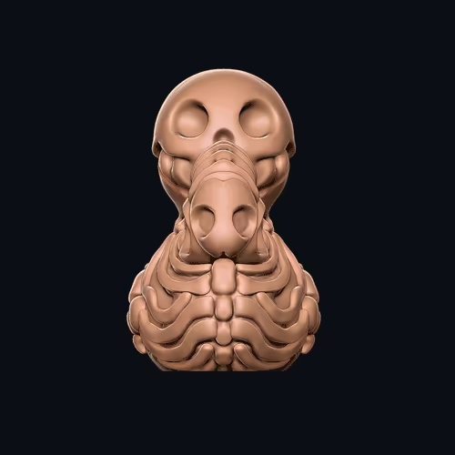 Duck Skeleton Penis