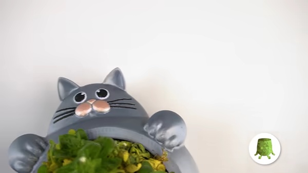 Tıknaz Kedi Saksısı-0