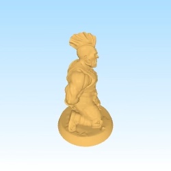 post apo male warrior prisonner token