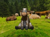 VAQUITA. LITTLE COW-1