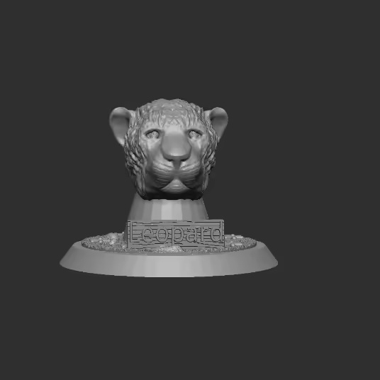 Leopard Head-0