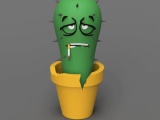 Frustrated cactus-0