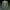 Goosebumps Haunted Mask