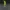 League of Legends Collection - Master Yi par PDD