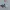 Attaches Butterfly Airpods Max