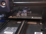 Smiling shark PRINT-IN-PLACE WITHOUT SUPPORT-1