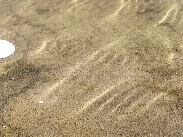 Galleggiante da pesca