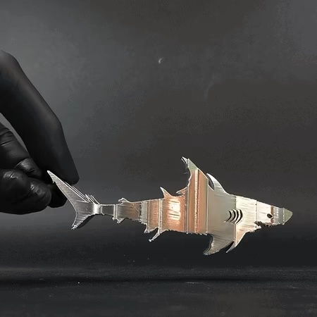 Text Flip - Shark