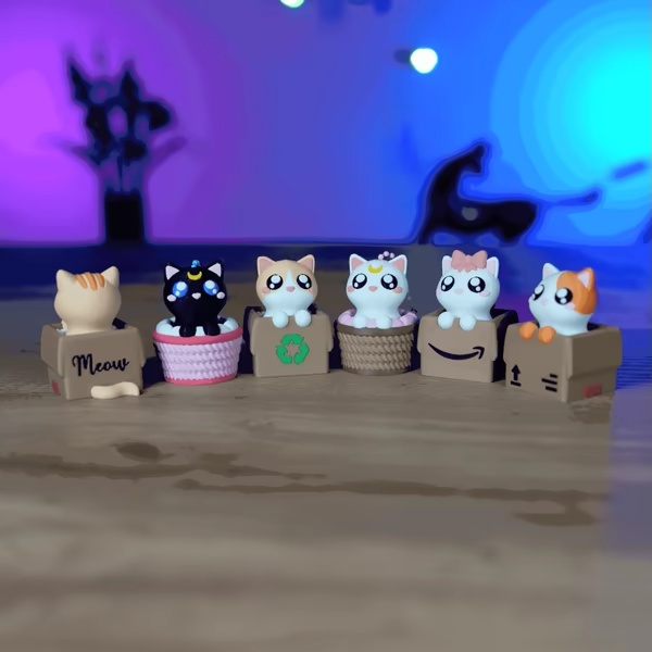 Clicker Cat Box Pack 🐱📦-4