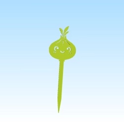 seedling mark onions / etiquette semis oignons