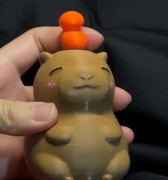 Capibara con arance che girano-1