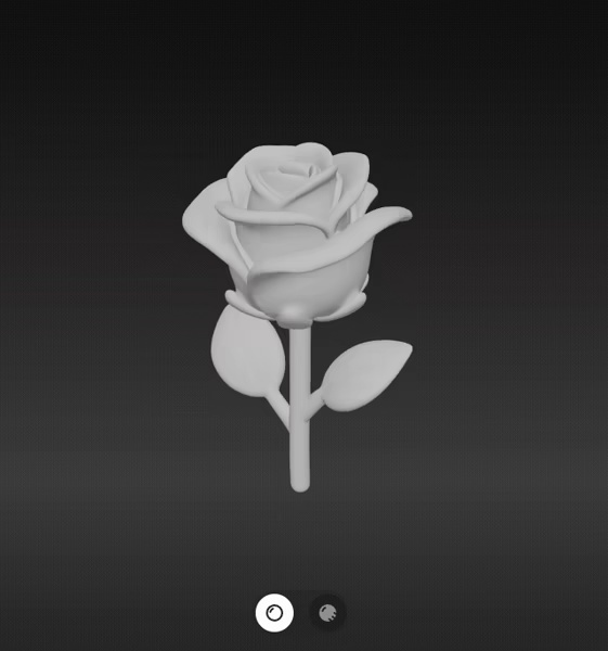 Rose flower-1
