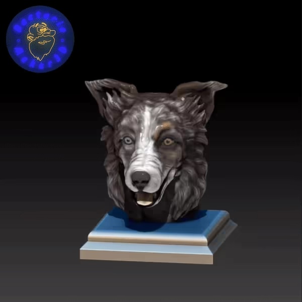 BORDER COLLIE HEAD