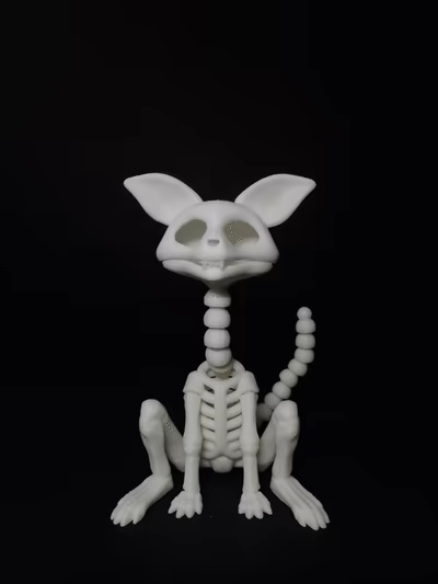 Flexible Cat Skeleton-1