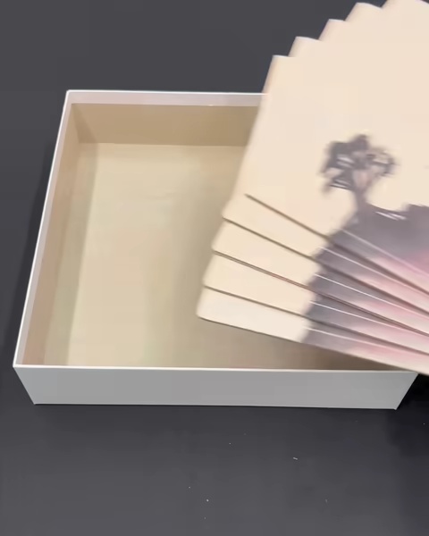 Wyrmspan Board Game Organizer | Insert | Light Version