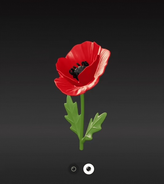 Poppies flower-0