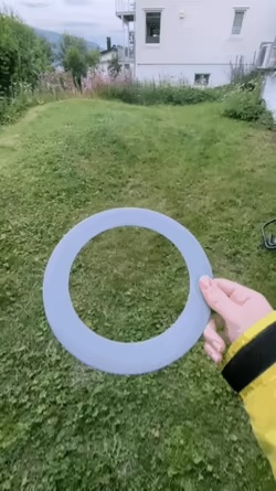 Disco frisbee-0