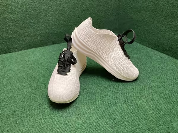 ION SHOES RUNNING FULL OF VORONOI