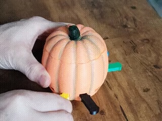 POPUP! Pumpkin