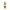 Cute cactus