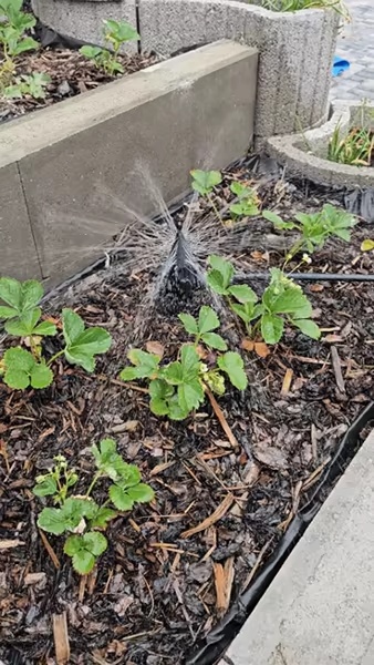 Aspersor de jardim com controle de fluxo-2