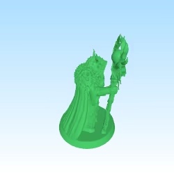 Druid fantasy D&D