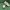 ION Shoes Fire Full Voronoi