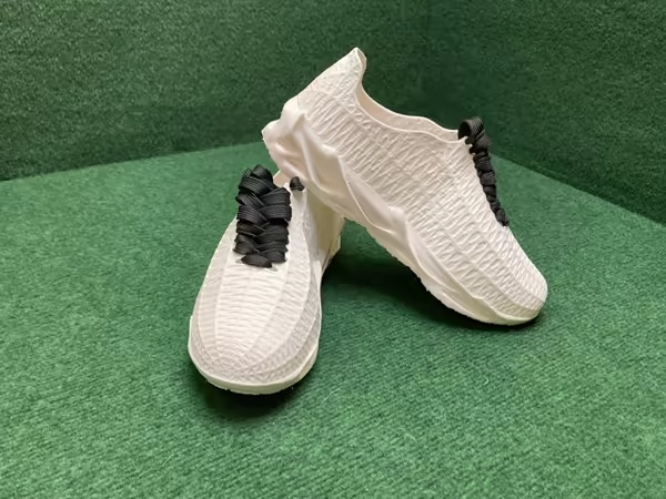 ION Shoes Fire Full Voronoi