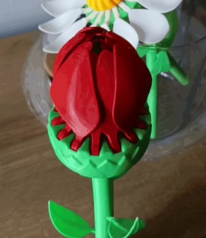 Fleur Épanouie