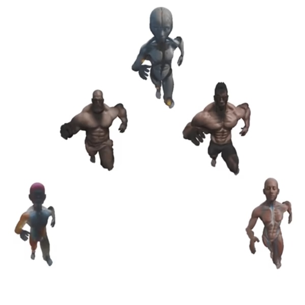 Advanced Human Body Study Collection
