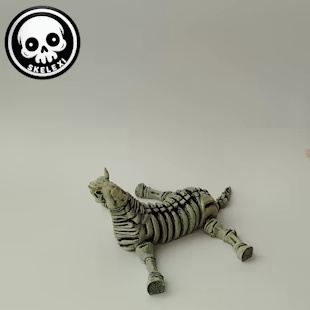 Flexi Skeleton Horse-1