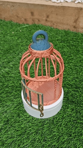 dragon flexi cage display-1