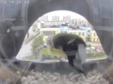 Bird Feeder-2