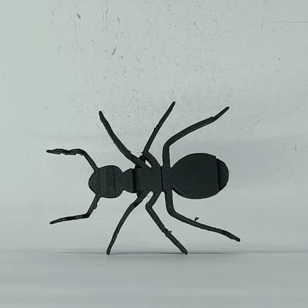 Text Flip - Worker Ant-0