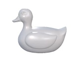 Duck-0
