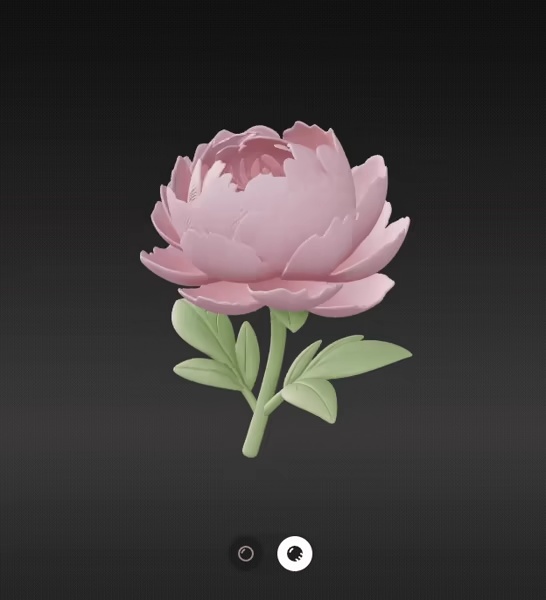 Peony flower