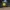 Smiley K1 y K1 Max USB Guardapolvo Emoji Rave Acid Watchmen