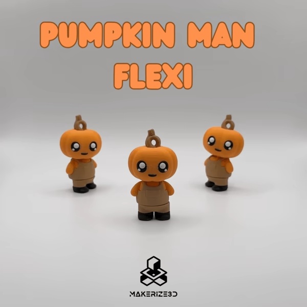Pumpkin Man Flexi-1